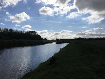 L'image représente un paysage serein avec une rivière, une rive herbeuse, des arbres et un ciel nuageux, avec un chien debout sur la rive herbeuse.