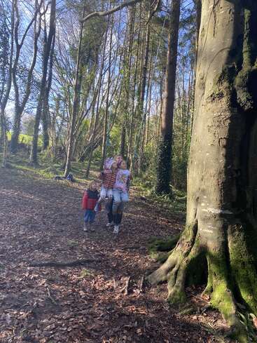 Tres niños disfrutan de un hermoso día en un bosque iluminado por el sol, jugando juntos cerca de un gran árbol con raíces musgosas, rodeado de árboles altos y hojas esparcidas.