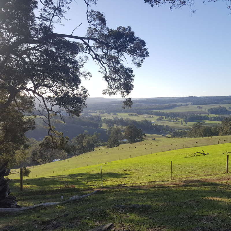 The image depicts a serene rural landscape featuring rolling hills, lush green grass, and scattered trees, with a clear blue sky above.