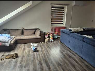 Ein gemütliches Wohnzimmer mit zwei Sofas, Kinderspielzeug, einem Fenster mit Jalousien, Wäsche, die zum Trocknen aufgehängt ist, Holzböden und einer Katze, die entspannt auf dem Boden liegt.