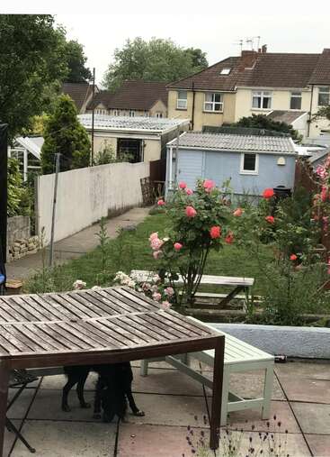 Um quintal com uma mesa e bancos de madeira, roseiras florescendo, um caminho pavimentado e casas ao fundo. Um cachorro preto está embaixo da mesa.