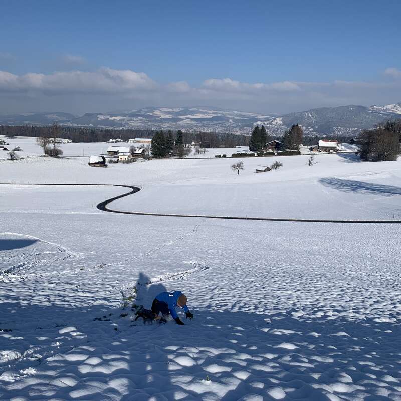 Una persona con chaqueta azul juega con un perro en un paisaje nevado, rodeado de campos, casas, árboles, colinas y montañas bajo un cielo brillante.