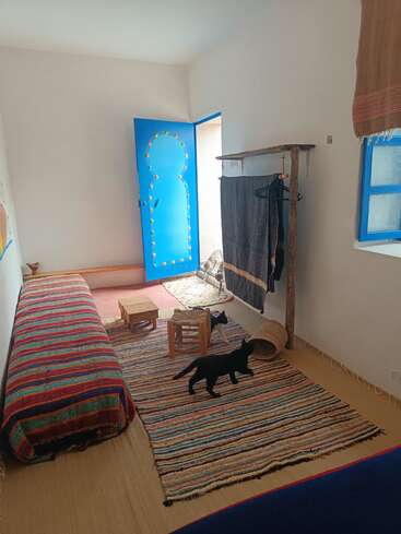 Une pièce confortable avec des tapis colorés, un canapé rayé, une porte et une fenêtre bleues, des meubles en bois, des vêtements suspendus et deux chats noirs jouant sur le sol.