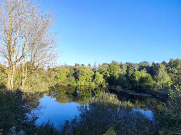 Ein friedlicher Teich spiegelt das kräftige Grün der Bäume und den klaren blauen Himmel wider. Das Sonnenlicht erhellt die Szene und hebt das üppige Laub und die ruhige, natürliche Landschaft hervor.