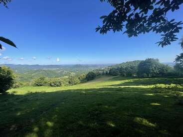 Las onduladas colinas verdes, los frondosos árboles y una amplia pradera se bañan bajo un cielo azul brillante salpicado de nubes. Las ramas de los árboles enmarcan maravillosamente el pintoresco paisaje.