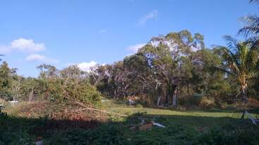 This image shows a sunny, open field with green grass, various trees, some bushes, scattered branches, and debris. The sky is bright blue with clouds.