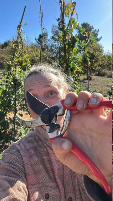 A person outdoors in a garden holds pruning shears close to the camera, smiling. Sunlight highlights green plants and tall vines in the background.