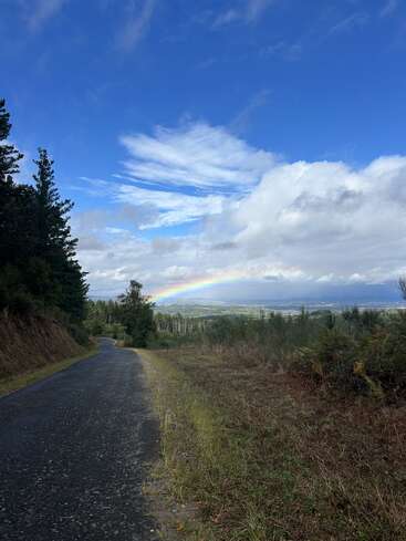 A winding road leads through a forest, under a bright blue sky with scattered clouds. A vivid rainbow arches gracefully over the distant green landscape.
