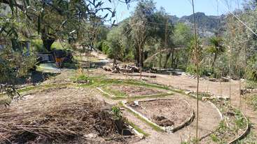La imagen representa una zona ajardinada con una mezcla de hierba y plantas, con un patrón circular de vegetación y un árbol prominente en el centro. La escena tiene como telón de fondo la naturaleza.