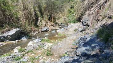 La imagen representa un paisaje sereno con un pequeño arroyo, rodeado de exuberante vegetación, con una suave pendiente al fondo, que evoca una sensación de belleza natural y tranquilidad.