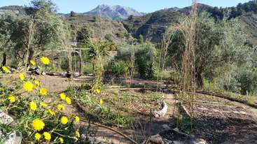 La imagen representa un entorno sereno al aire libre, con un exuberante paisaje verde con árboles y arbustos, y un camino serpenteante, que evoca una sensación de belleza natural y tranquilidad.