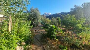 La imagen representa un entorno sereno al aire libre, con un exuberante paisaje verde con árboles y arbustos, que evoca una sensación de belleza natural y tranquilidad. La escena es apacible e idílica.