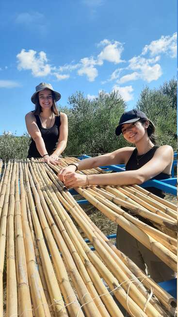 Two young women smile outdoors under a bright blue sky, weaving long bamboo sticks together on a frame, surrounded by green shrubs and trees, enjoying teamwork.