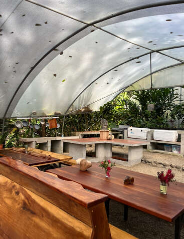 This image shows an outdoor seating area under a translucent canopy, with wooden tables, benches, potted plants, rustic decor, and a simple kitchen setup in the background.