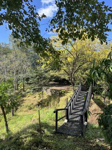 A metal bridge leads into a lush, green forest. Sunlight filters through the leafy canopy, casting shadows. Blue sky and fluffy clouds frame the scene.