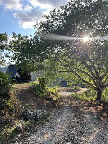 A sunlit dirt path splits in two, shaded by a large tree. Small blue-roofed huts nestle among lush greenery under a bright, partly cloudy sky.