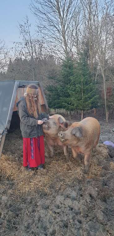 A woman with long hair and a headband stands in a muddy yard, petting two brown pigs, with a small wooden structure behind her.