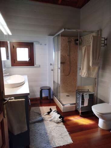 A cozy bathroom with wooden floors, a shower, white sink, toilet, and window. A black and white cat lounges comfortably on a fluffy rug in sunlight.
