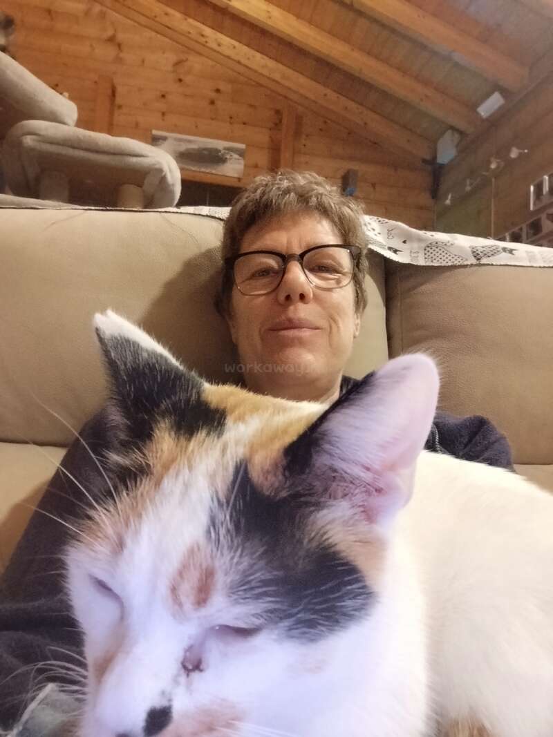 A person with short hair and glasses relaxes on a couch in a cozy wooden room, with a calm calico cat resting peacefully in the foreground.