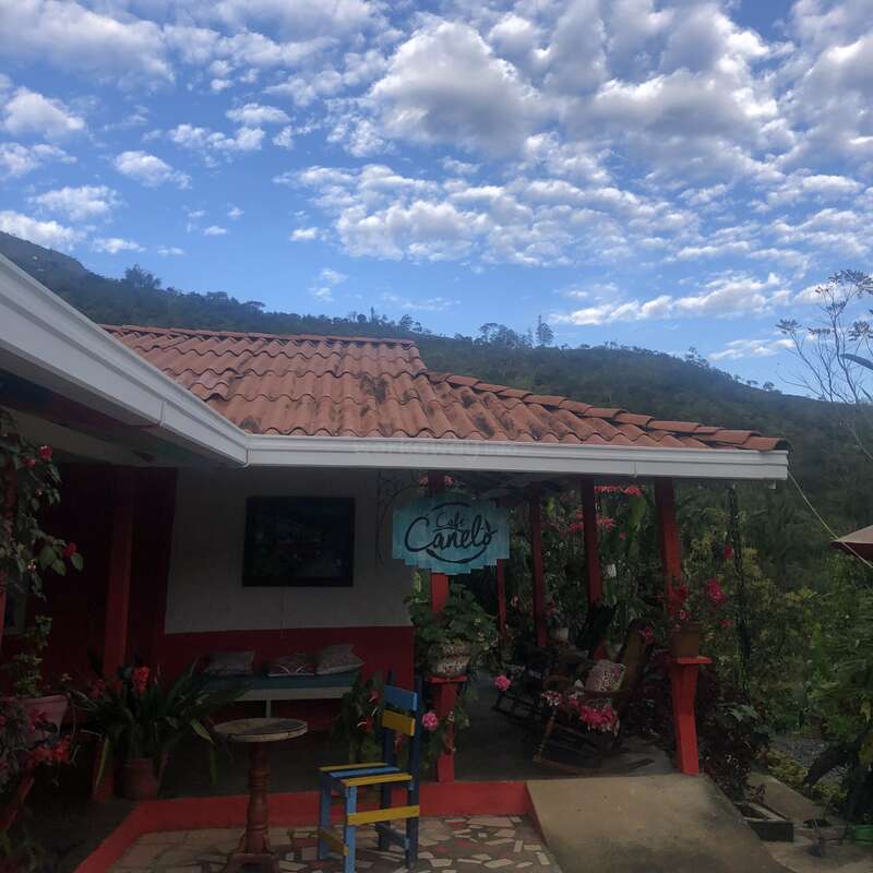 La imagen muestra una encantadora casa con tejado de tejas rojas y porche cubierto, con un letrero que dice "Café Canels" y rodeada de exuberante vegetación y un sereno cielo azul.