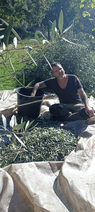 Una persona está de pie en un campo, rodeada de árboles y arbustos, con una masa de agua visible al fondo. La escena parece un entorno sereno y natural.