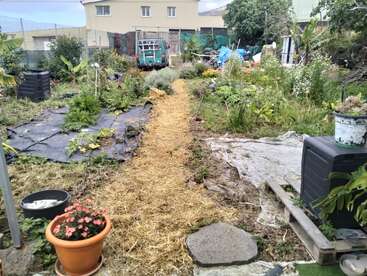 Un jardín con un sendero cubierto de paja, parterres elevados, diversas plantas, flores, cubos de compostaje y herramientas de jardinería. En el fondo hay una camioneta aparcada.