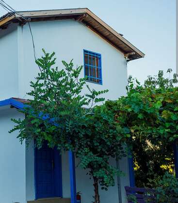 This image shows a charming white house with blue doors and window frames, surrounded by lush green plants and vines, creating a peaceful, inviting atmosphere.