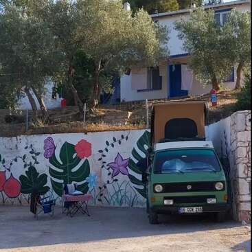 A green campervan is parked by a wall with colorful floral murals. Olive trees and a white house with blue trim sit calmly in the background.