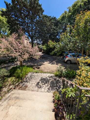 This image shows a sunny garden with steps leading down to a stone path, lush greenery, trees, a parked car, and vibrant potted plants.