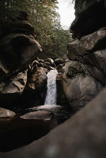 Une petite cascade tranquille se jette sur des rochers accidentés dans un bassin sombre, entouré d'un feuillage vert dense et de grands arbres, créant ainsi une scène naturelle sereine.