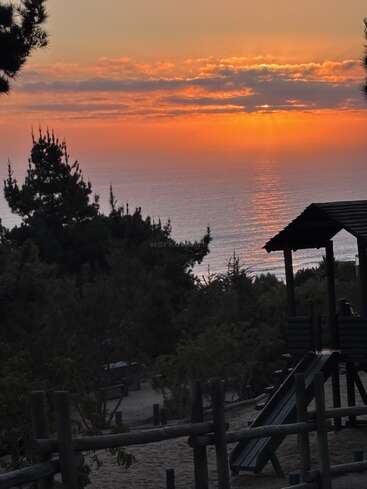 A beautiful sunset over the ocean, with golden-orange skies, clouds, pine trees, and a wooden playground structure in the foreground, creating a serene and peaceful atmosphere.