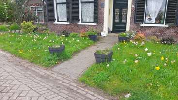 A brick house with black shutters, a green door, and a garden path. The front yard features lush grass, wildflowers, and four black flowerpots.