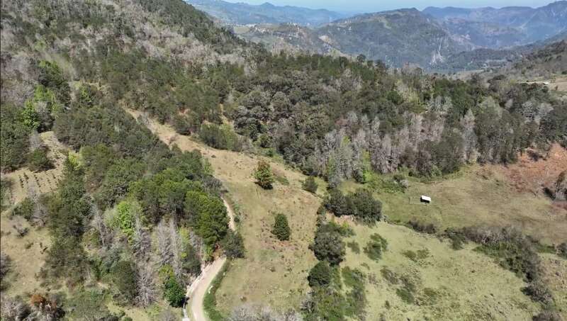 Dieses Bild zeigt eine üppige, grüne Berglandschaft mit vereinzelten Bäumen und einer kurvenreichen Feldweg. Ein kleines weißes Gebäude steht einsam auf einer offenen Wiese.