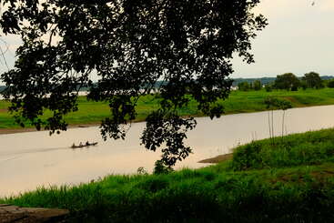 A small boat with several people glides along a calm river, surrounded by lush green grass and trees, beneath an overhanging leafy branch. Peaceful scene.
