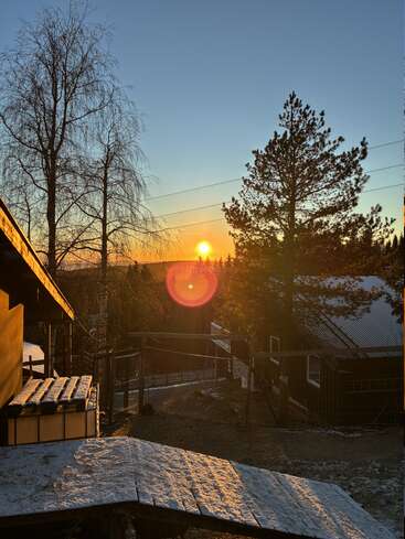 Un lever de soleil hivernal projette une lumière chaude et dorée sur une cour enneigée, silhouettant des arbres dénudés et une cabane, créant ainsi une scène matinale paisible et sereine dans la nature.