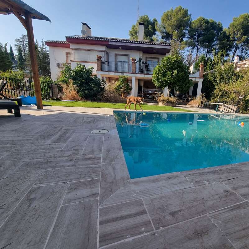 Um quintal ensolarado com uma piscina de águas azuis cristalinas, um cachorro de pelagem castanha caminhando pela grama, cercado por árvores. Uma casa de dois andares se destaca ao fundo.