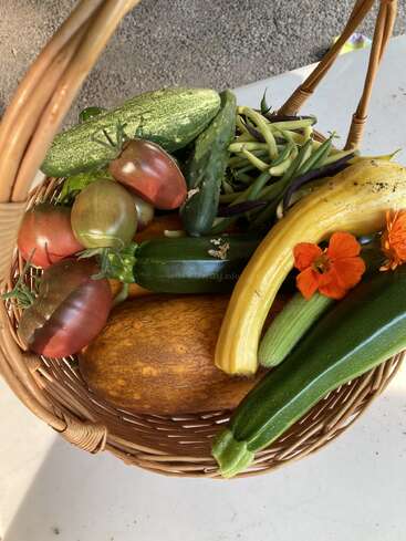 Una cesta tejida contiene coloridos tomates autóctonos, pepinos, calabacines amarillos, judías y flores comestibles de color naranja, recién cosechados y listos para una comida de verano.