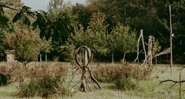 This image shows a grassy field with scattered trees, various natural wooden sculptures, and metal rings. Dense green foliage forms the background, creating a peaceful, rustic atmosphere.