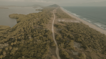 This aerial image shows a narrow dirt road stretching between dense green forest and a sandy coastline, with waves gently hitting the shore and distant mountains visible.