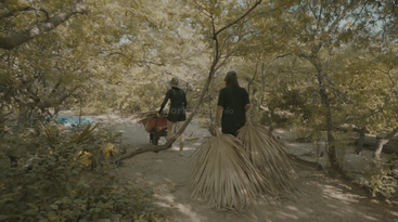 Two people walk through a wooded area. One pushes a wheelbarrow, the other carries large palm leaves. Sunlight filters through dense green trees above. Peaceful setting.