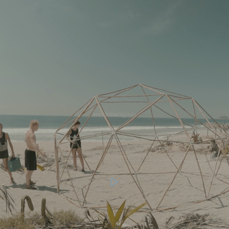 Four people on a sandy beach, beside a large geometric bamboo structure, under a clear blue sky near the ocean, possibly building or assembling something together.