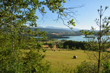 À travers les arbres feuillus, une vue pittoresque de la campagne se déploie : des champs ouverts avec des bottes de foin, un lac bleu scintillant, des collines lointaines et un ciel clair et lumineux.