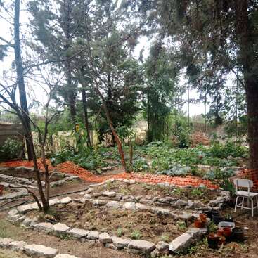Das Bild zeigt einen Garten mit einem steinernen Weg, umgeben von Bäumen und Pflanzen, mit einem Stuhl und Töpfen, mit einem orangefarbenen Maschendrahtzaun im Hintergrund.