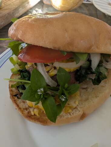 Ein leckerer Burger auf einem weißen Teller, garniert mit frischen Tomaten, Zwiebeln, Salat, essbaren Blüten und Mais, alles in einem leicht gerösteten Brötchen.