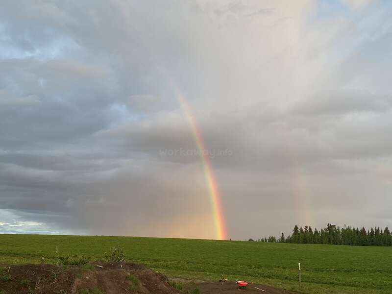 The image depicts a vibrant rainbow stretching across a lush green field, set against a backdrop of a cloudy sky and a serene landscape.