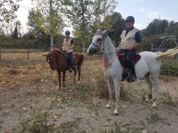 Zwei Personen mit Helmen und Westen reiten auf Pferden auf einem Gelände im Freien. Sie sind von Bäumen und einem Holzzaun umgeben, was eine friedliche, natürliche Atmosphäre schafft.