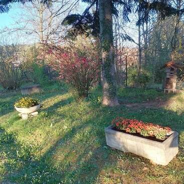 Eine friedliche Gartenszene mit grünem Gras, farbenfrohen Blumenkästen, einem blühenden rosa Strauch, hohen Bäumen und einem Insektenhaus aus Holz im sanften Sonnenlicht.