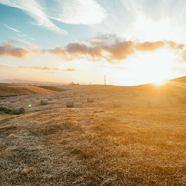 A imagem retrata uma paisagem serena de um campo com vários fardos de feno, tendo como pano de fundo colinas onduladas e um pôr do sol vibrante.