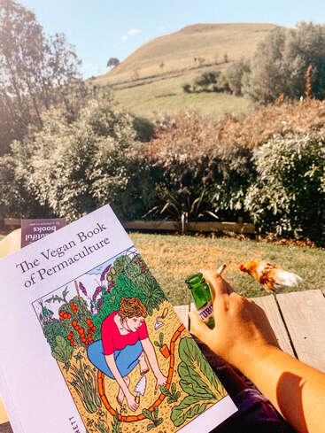 A imagem mostra uma cena serena de uma pessoa lendo \"The Vegan Book of Permaculture\" em um banco de madeira, com uma galinha ao fundo e uma encosta ao longe.