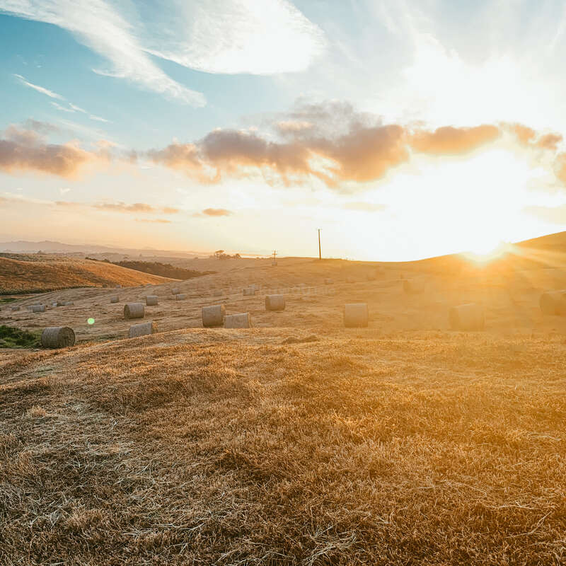 A imagem retrata uma paisagem serena de um campo com vários fardos de feno, tendo como pano de fundo colinas onduladas e um pôr do sol vibrante.